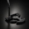 Demo Day Putter Special